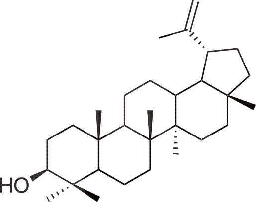 terpentin a pikkelysmr kezelsben