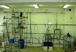 Pilot plant Betulinines