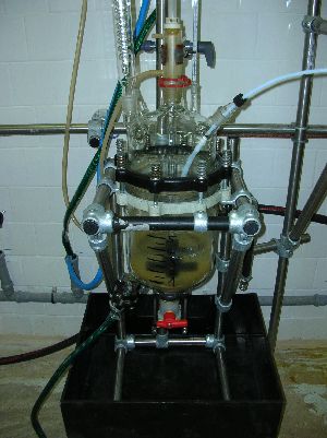 Duplicated reactor 7L